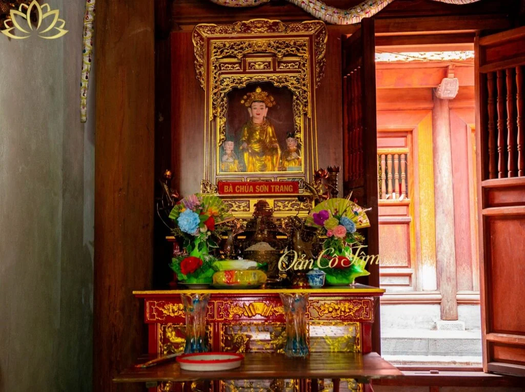 Image 21