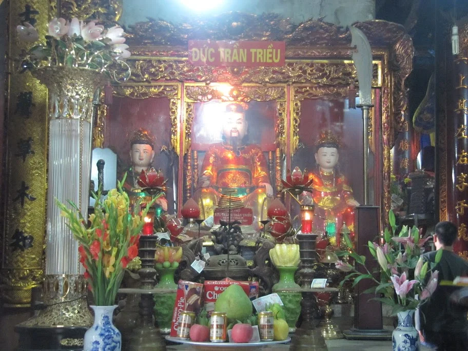 Image 8