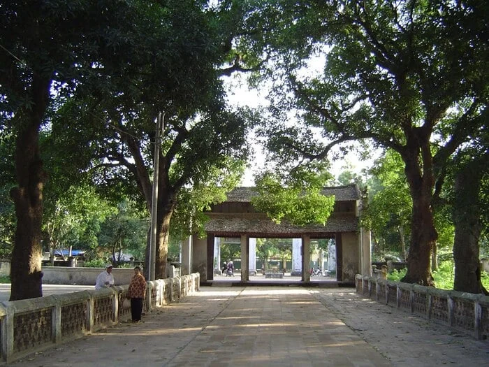 Image 7