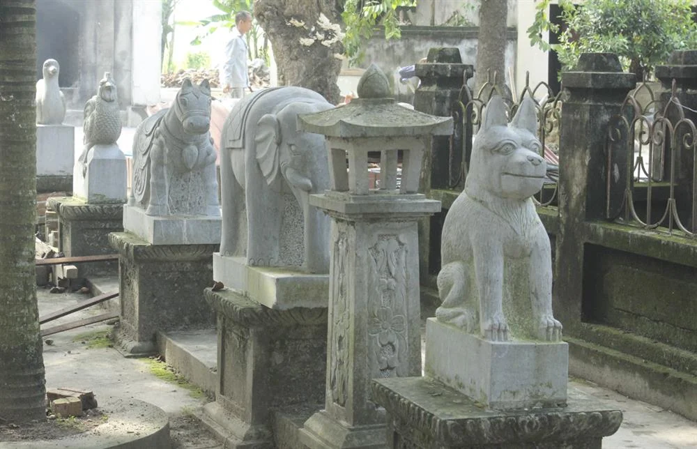 Image 11
