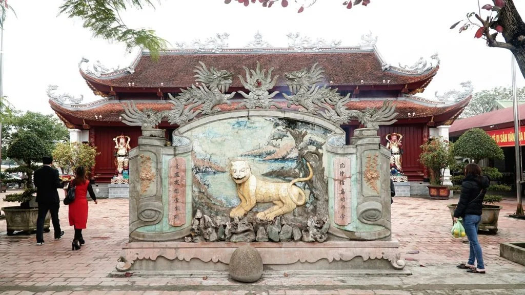 Image 8