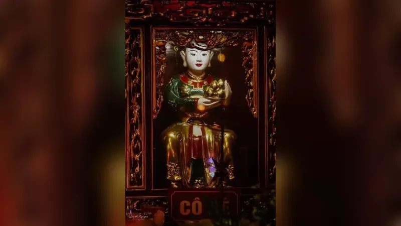 Cô Bé Thượng Ngàn